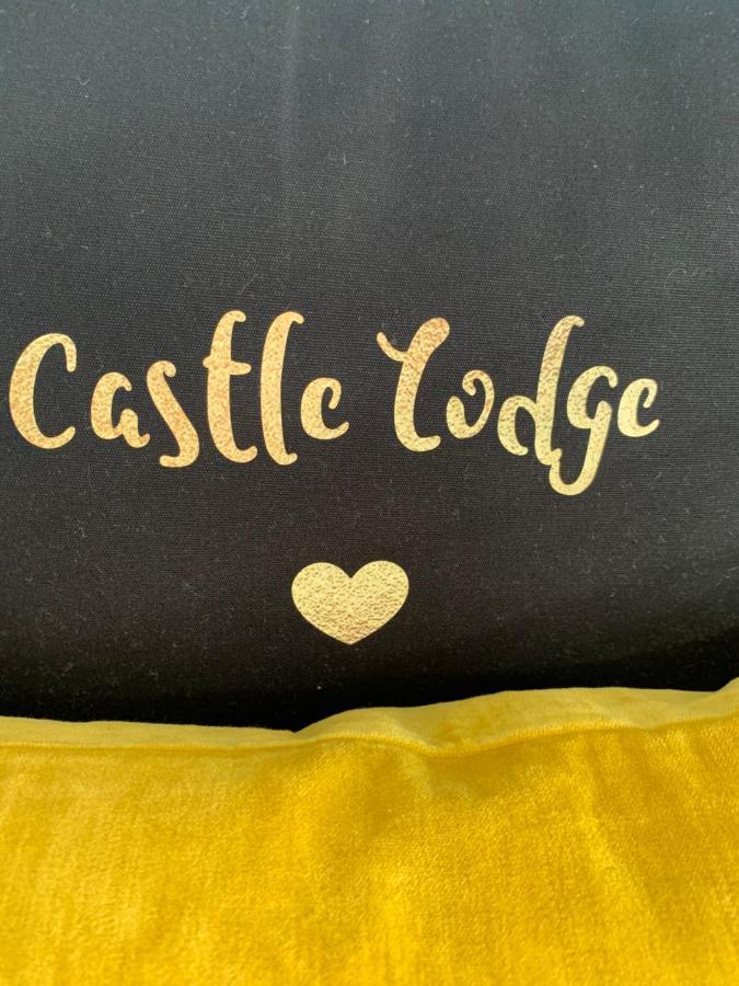 Castle Lodge Guest House ニューポート エクステリア 写真
